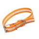 Collier lumineux  pour chien Lummi®